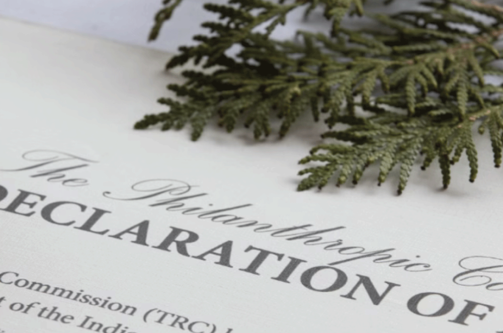 A close up photo of the front page of the Philanthropic Community’s Declaration of Action printed out on paper, with a sprig of cedar laying on the paper