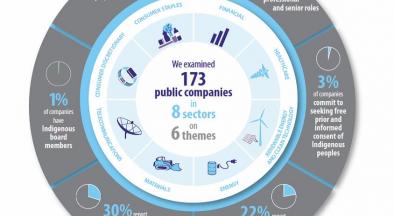 We examined 173 public comapnies across 8 themes.