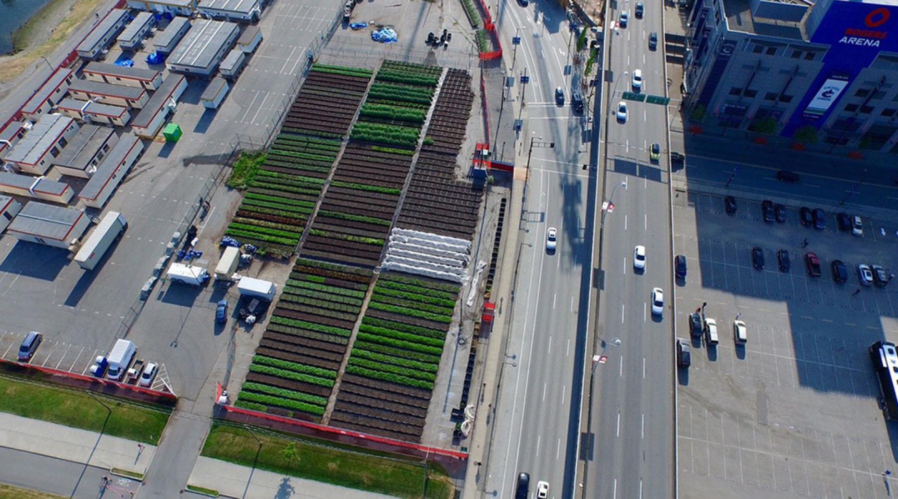 Arial view of the False Creek urban farm.