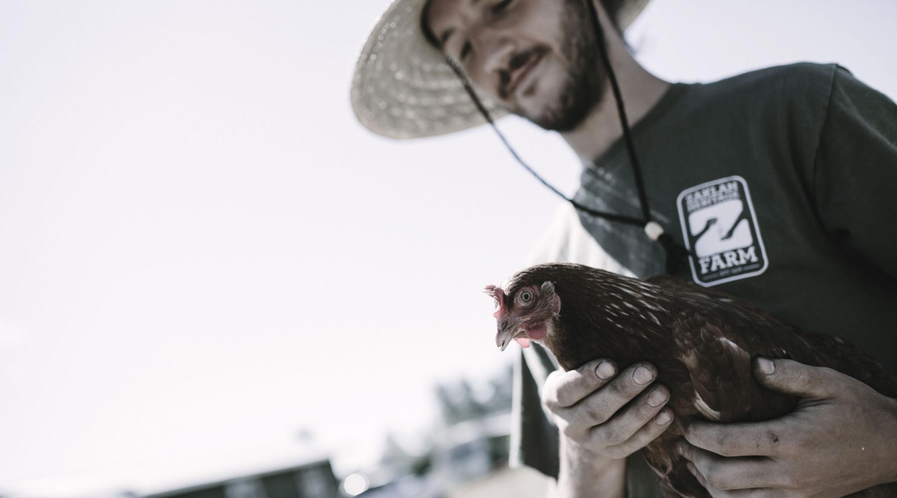 Young agrarian with a chicken