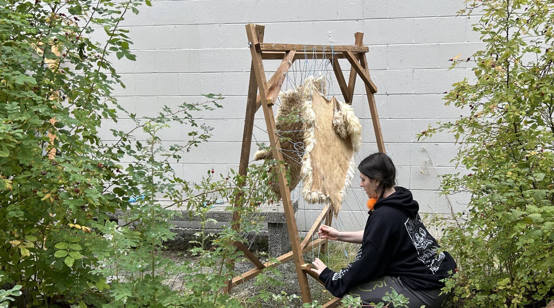 Artist stretching animal hide